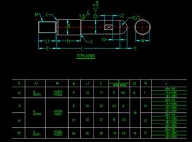 injection mold Standard angle pin
